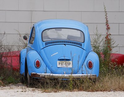 Blue VW