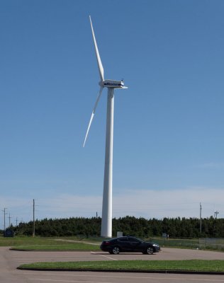 IMG_4210_DxO_raw copy.jpg