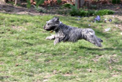 IMG_3770 copy.jpg