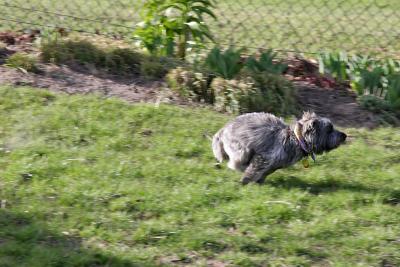 IMG_3772 copy.jpg