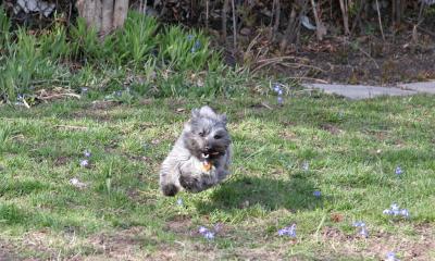 IMG_3773 copy.jpg