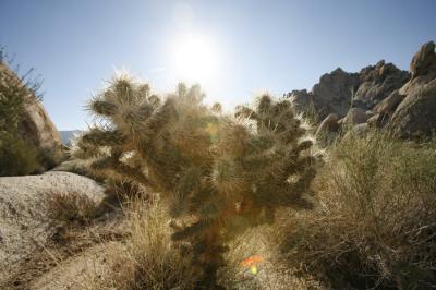 _MG_0175.JPG