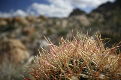 _MG_0192.JPG