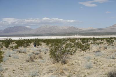 _MG_0287.JPG