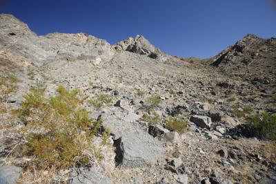_MG_0303.JPG