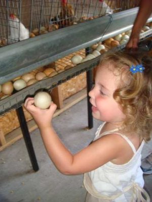 checking out the eggs