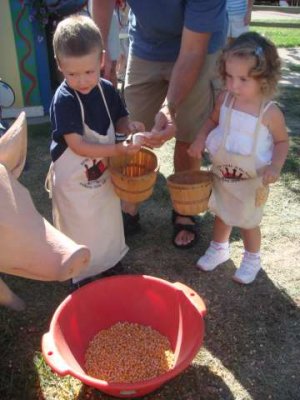 scooping feed