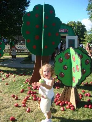 at the apple orchard