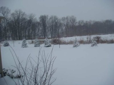 more snow pics