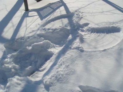 jeff's snow angel