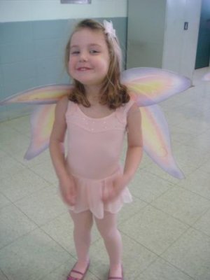 butterfly wings