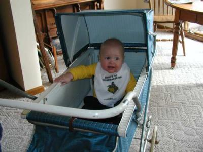 in mommy's buggy