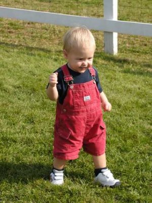 more interested in walking on grass than the animals!