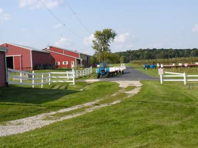 plymouth orchard