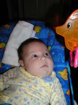 pretty girl gazing at her fish again