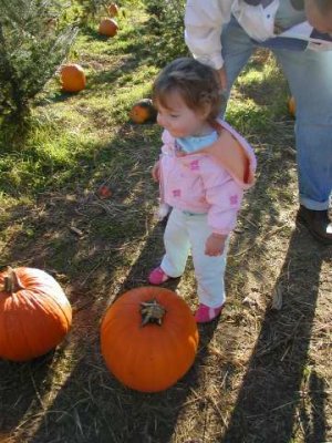 last year toot was just a little toot at the pumpkin patch