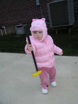 kitty caddy