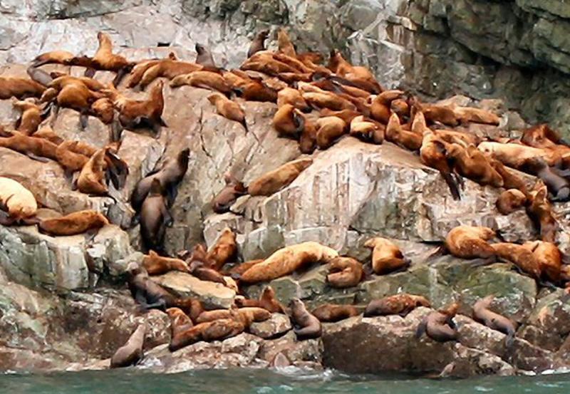 Seals