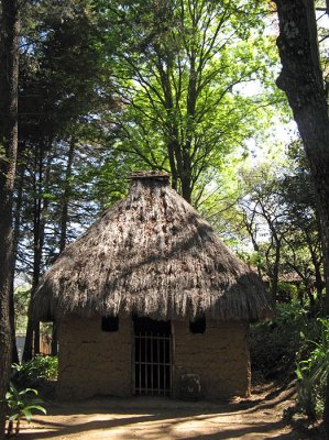Lacandon hut in Na-Balom garden 3394