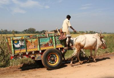 Nicely painted cart leaving Chamundi Hill