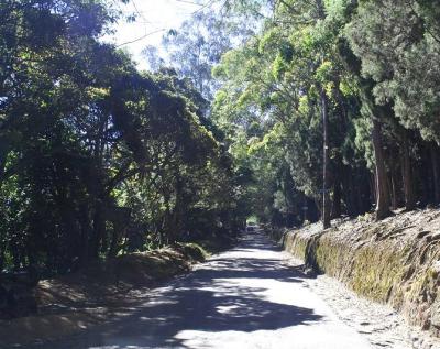 Road to Ooty