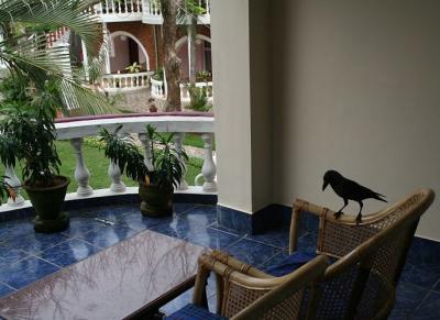 Crow on my hotel room balcony