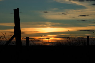 DSC_6498.jpg