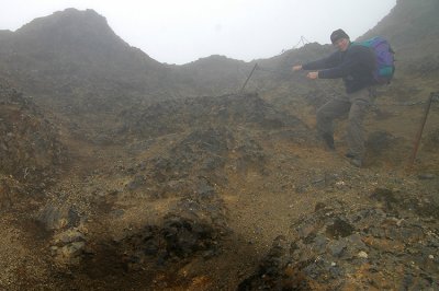 DSC_9377.jpg