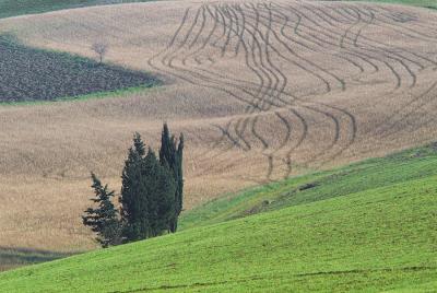 g3/46/537846/3/55538196.0110campi11.jpg