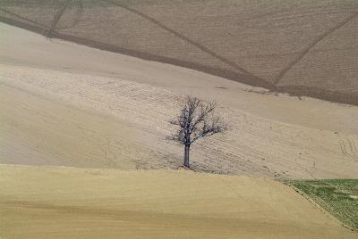 g3/46/537846/3/55538427.0120campi05.jpg