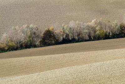 g3/46/537846/3/55538862.1205campi06.jpg