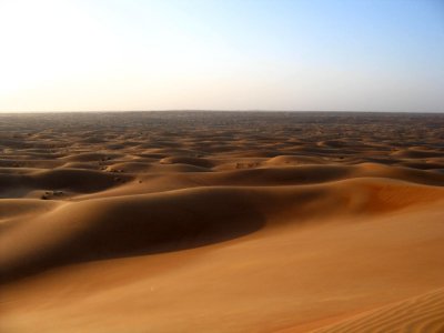 More Desert Dune