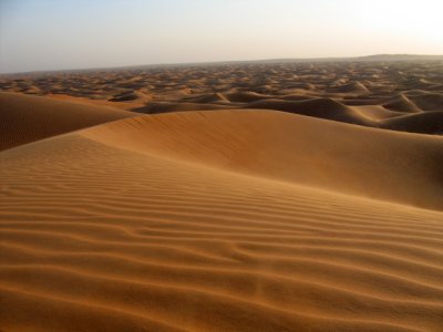 Desert Dune 5