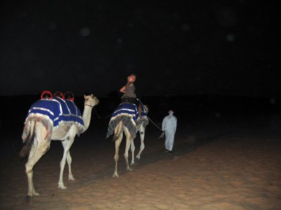 Paula' Camel Ride
