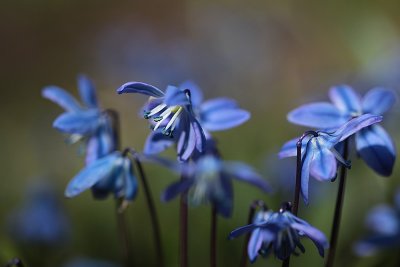 IMG_4505_1.jpg