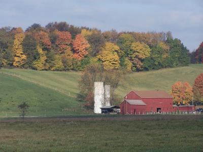 fall in the country