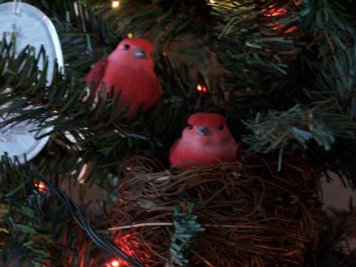 birds in the christmas tree