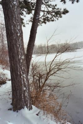 nimisila lake in winter