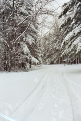 snow tracks