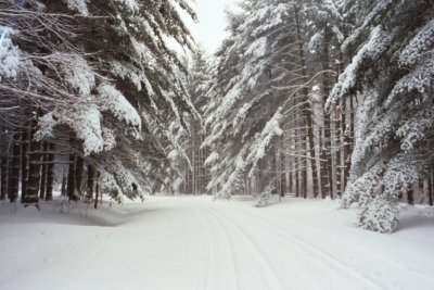 snow tracks