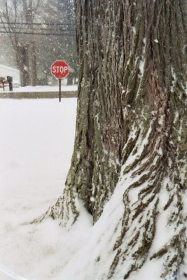 stop sign