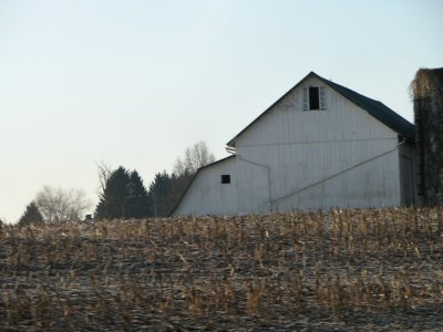 wilmot farm