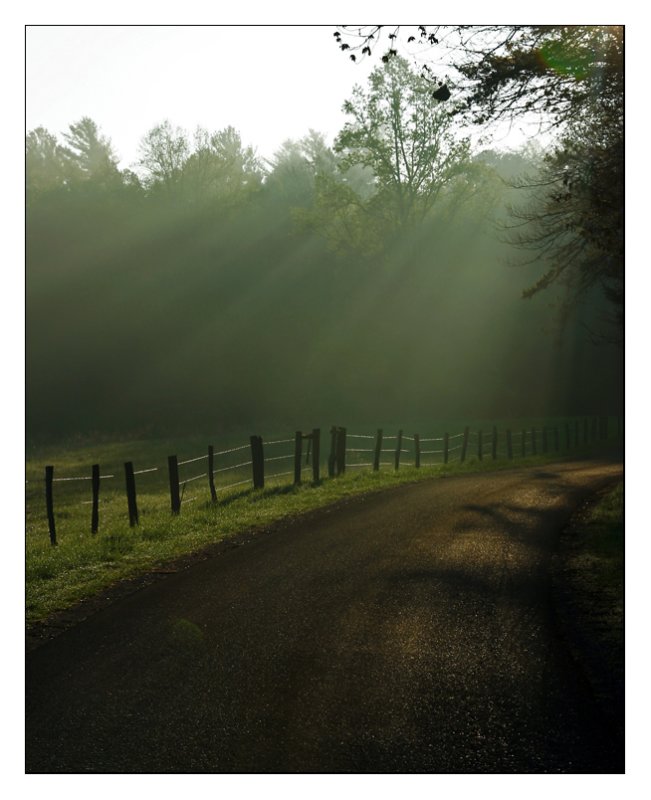 sun on road