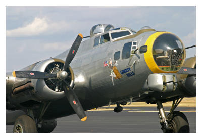 Liberty Belle