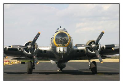 Liberty Belle Front