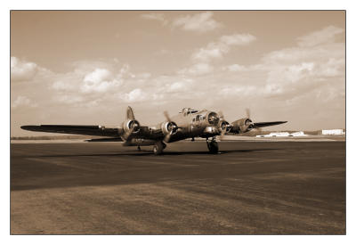 Liberty Belle sepia