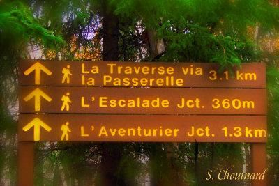Affiche  l'entre du parc - Some different trails to visit