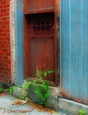 La vieille porte - Old door