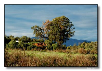 Autumnal landscape