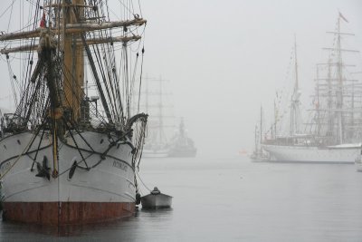 Tall Ship Race Bergen 2008